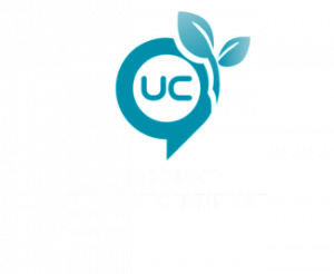 Nordisk tillväxtcertifikat